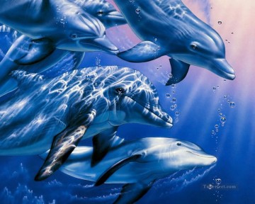 delfín 6 Pinturas al óleo